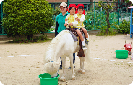 一日こども動物園の写真