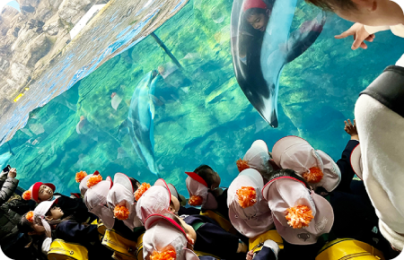 お別れ遠足「海遊館」の写真